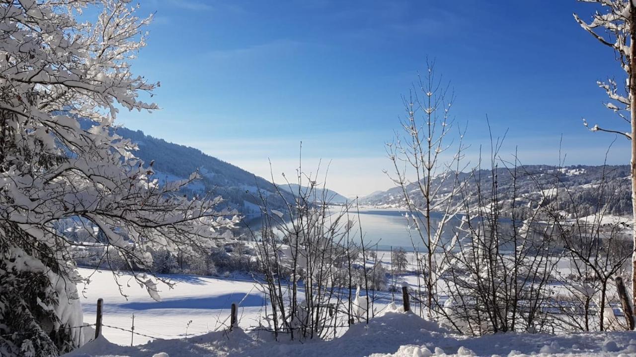 Ferienwohnung Fanny Am See Immenstadt im Allgäu Exteriör bild